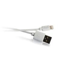  USB A M/Lightning M 1 Leg 039862