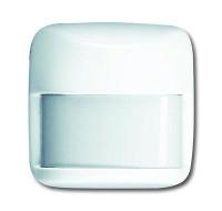 ������ �������� Busch-Wachter 180 UP � ����������� ������ ����. ���. ABB 6800-0-2163