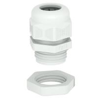   V-TEC PG7  LGR OBO 2024655