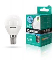   LED5-G45/845/E14 5  4500  E14 405 220-240 Camelion 12029