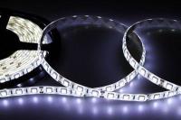  . SMD5050 14.4/ 60LED/ 12 IP65 . (. 5) NEON-NIGHT 141-495