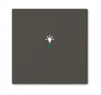   SRL-1-95 free@home  Basic 55 chateau-. ABB 6220-0-0687