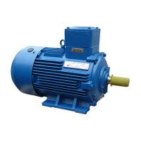   180 S2 1 380/660 1ExdIIBT4 22/3000 IM 1081  01.02.02.000439