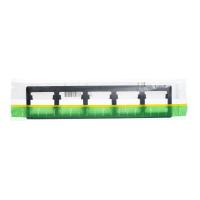  5- Glossa .  SchE GSL000705