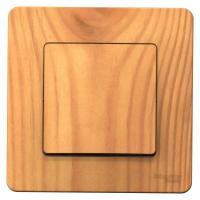  1-.  BLANCA (.1) 10 250  SchE BLNVS010105