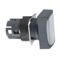  .   . SchE ZB6DF1