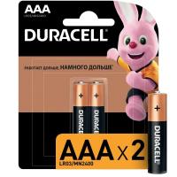    LR MN 2400/LR03 Basic BP-2 (.2) Duracell 0014052/0026812
