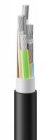  ()-LS 570  (N PE) 1 () -