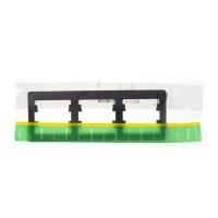 3- Glossa .  SchE GSL000803