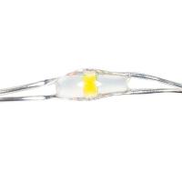  "" ( 3  .) 2 20LED RGB 5 4.5 IP20 .  NEON-NIGHT 303-009