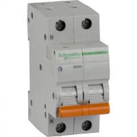    2 (1P+N) C 40 4.5 BA63  SchE 11217