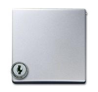      .   Busch-Duro 2000 SI  Reflex SI   . IP44 Allwette 44 -. ABB 1710-0-3789