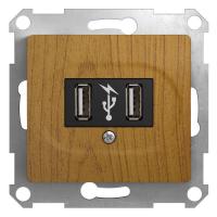   USB 1-  Glossa .  SchE GSL000532