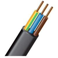  -()-LS 310 () 