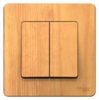  2-.  BLANCA (.6 6) 10 250  SchE BLNVS106605