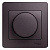  () Glossa  300     SchE GSL001434