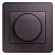  () Glossa . 600/.     SchE GSL001436