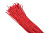    8/4 . (.50) PROxima EKF tut-8-r-1m