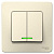  2-.  BLANCA (.5) 10 250   . SchE BLNVS010512