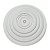    d40 Plexo Leg 091917
