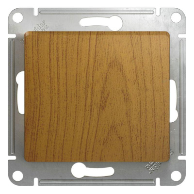     Glossa . 1 10AX .  SchE GSL000515
