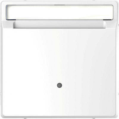  Merten D-Life  -   SD .  SchE MTN3854-6035