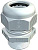   V-TEC L PG21 LGR OBO 2024330