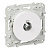   2 Odace . SchE S52R446
