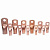    50-12-11 (.) (.100)  zeta10730