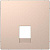   Merten D-Life   2- RJ11/RJ12 SD  SchE MTN4215-6051