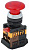  AELA-22 "" .  BBG20-AELA-K04
