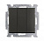  3-. 1 .   16/250 Basic 55 chateau-black ABB 1012-0-2173