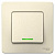  1-.  BLANCA (.6) 10 250   . SchE BLNVS010612