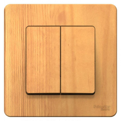  2-.  BLANCA (.6 6) 10 250  SchE BLNVS106605