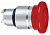       . . SchE ZB4BW443