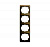  4- Alpha exclusive .  ABB 1754-0-4388