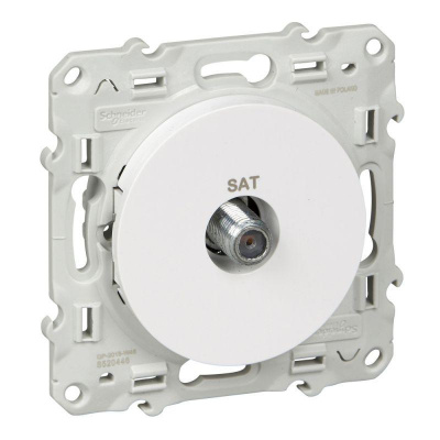   2 Odace . SchE S52R446