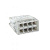   2273-248 ( ) 8  0.5-2.5. (.50) PROxima EKF plc-smk-2273-248
