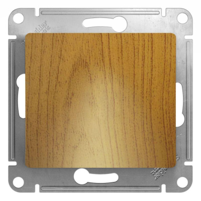    Glossa  SchE GSL000599