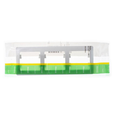  3- Glossa .  SchE GSL000603