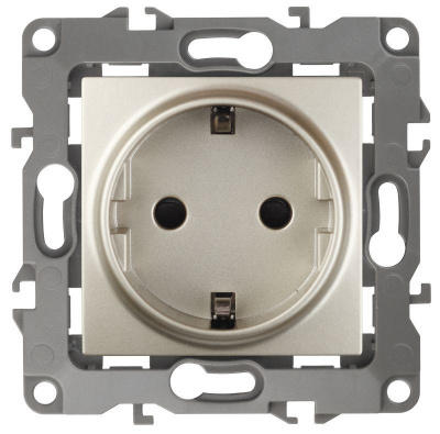  Schuko 16-250 2P E .  12-2102-04   0014690