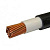  -LS 195  ()  000015706