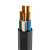  ()-LS 510 () 