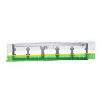  5- Glossa . . SchE GSL000305