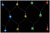 - NTLD300-V-E 21.5 300   . .  3  IP20 . SHLights 4610003328580
