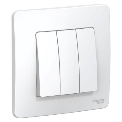  3-.  BLANCA (.1+1+1) 10 250 . SchE BLNVS100501