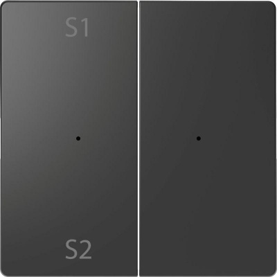   Merten D-Life PlusLink  S1/S2  SD  SchE MTN5226-6034