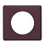  1- Celiane  Leg 068681