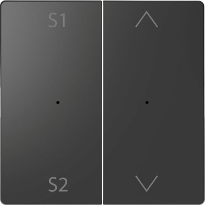   Merten D-Life PlusLink  S1/S2 / SD  SchE MTN5227-6034